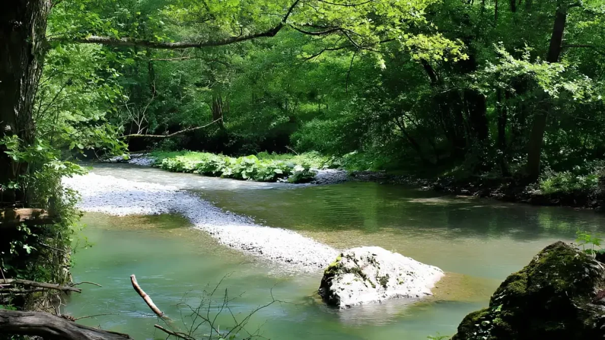 gradac montanaro img2