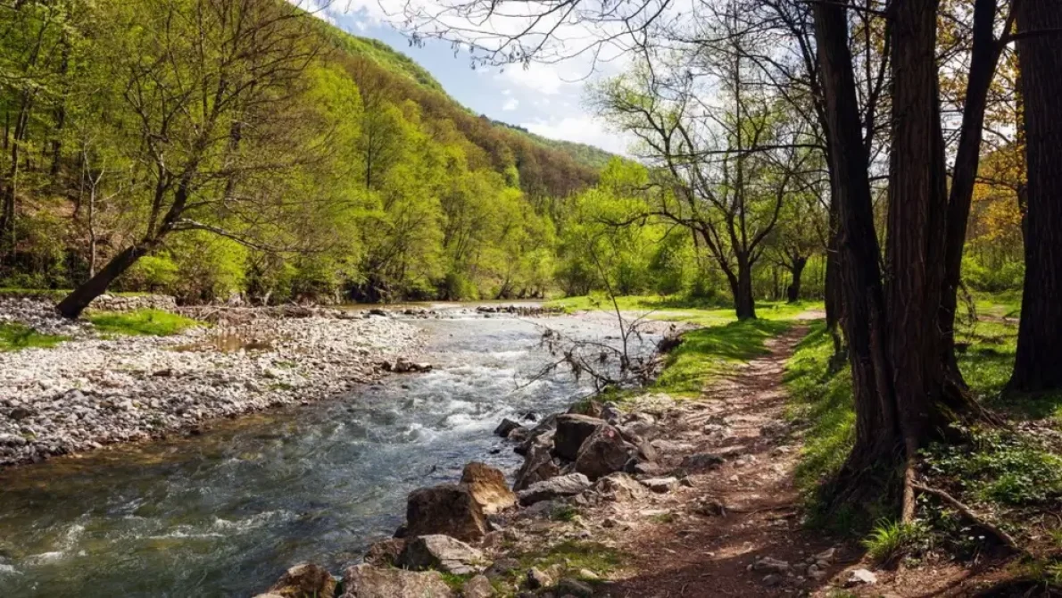 gradac montanaro img3