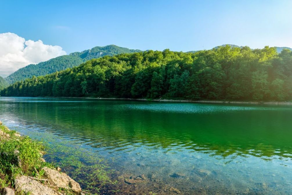 komovi i biogradska gora montanaro img3