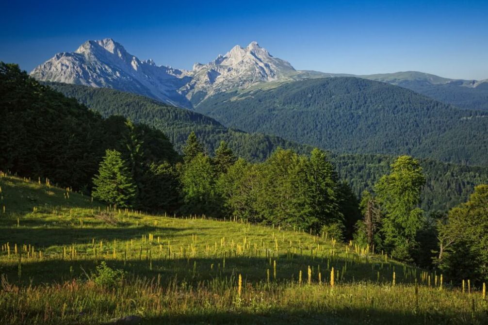 komovi i biogradska gora montanaro img7