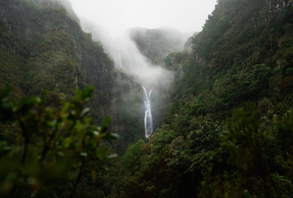 madeira montanaro tura img12